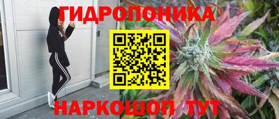 apvp Туймазы